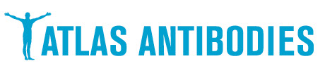 Atas Antibodies