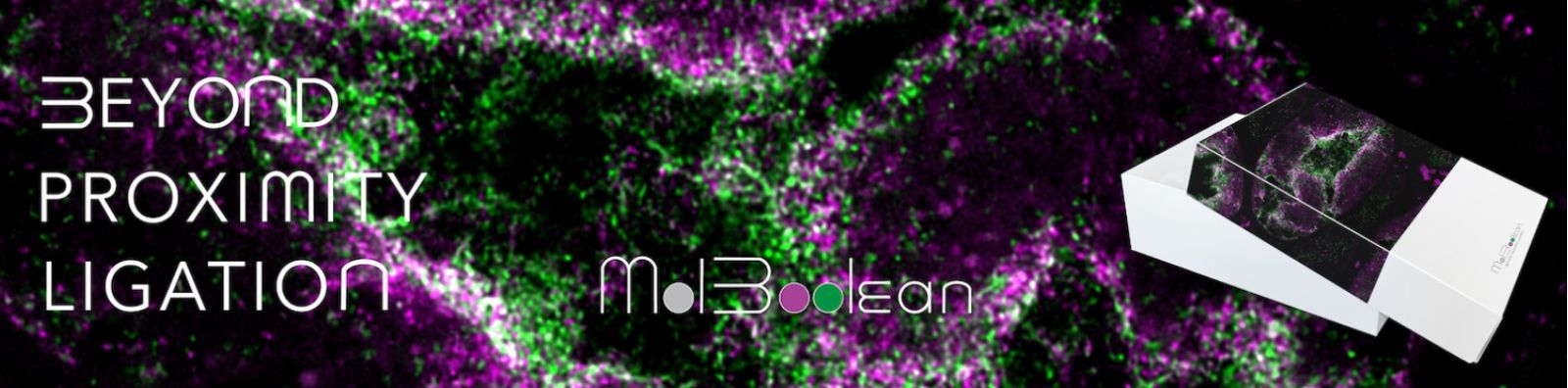 MolBoolean - Beyond Proximity Ligation