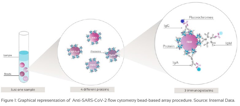 Funktionsweise des Assays