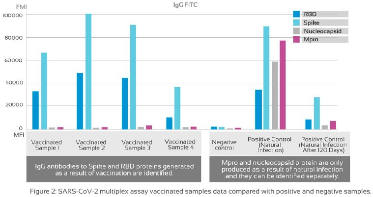 COVID-19 Antibody profile after infection vs. vaccination