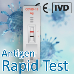 COVID-19 Rapid Antigen Test IVD