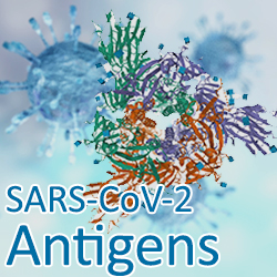 SARS-CoV-2 Antigens
