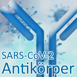 SARS-CoV-2 Coronavirus Antikörper