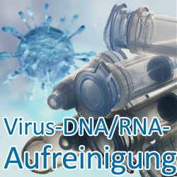 Virus-DNA/RNA-Aufreinigung