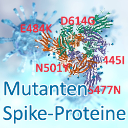 SARS-CoV-2 Coronavirus Mutanten Spike-Proteine