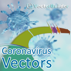 Coronavirus Vectors