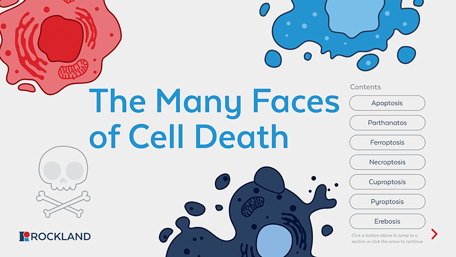 EBook The Many Faces of Cell Death