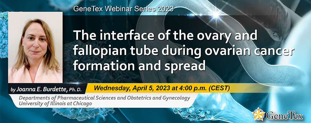 GeneTex Webinar: Ovarian cancer formation and spread
