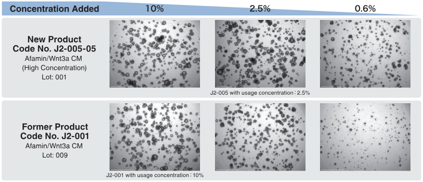 Intestinal organoid culture using Afamin/Wnt3a CM