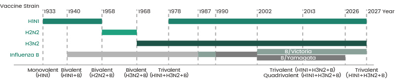 Influenza Vaccine Strains 2027