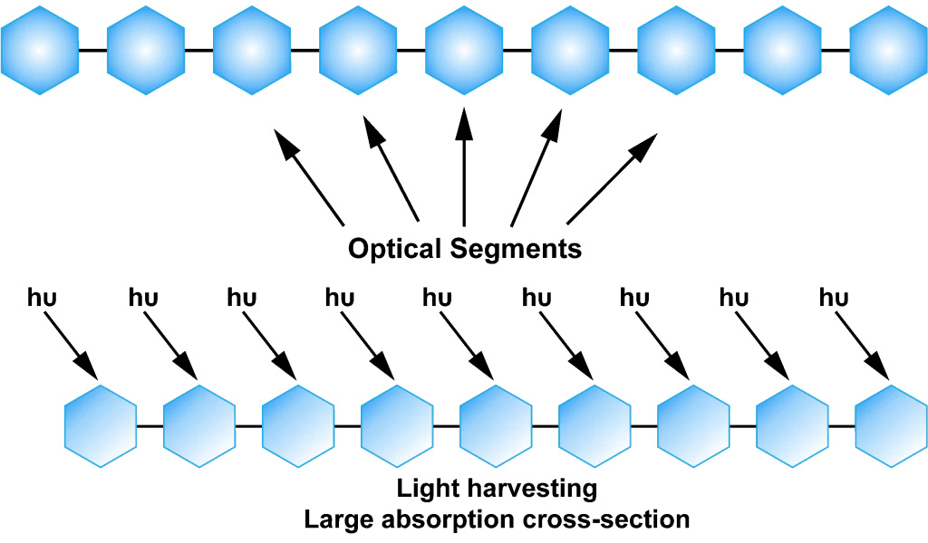 BV_optisches-Segmente-(eng)_ohne-hintergrund