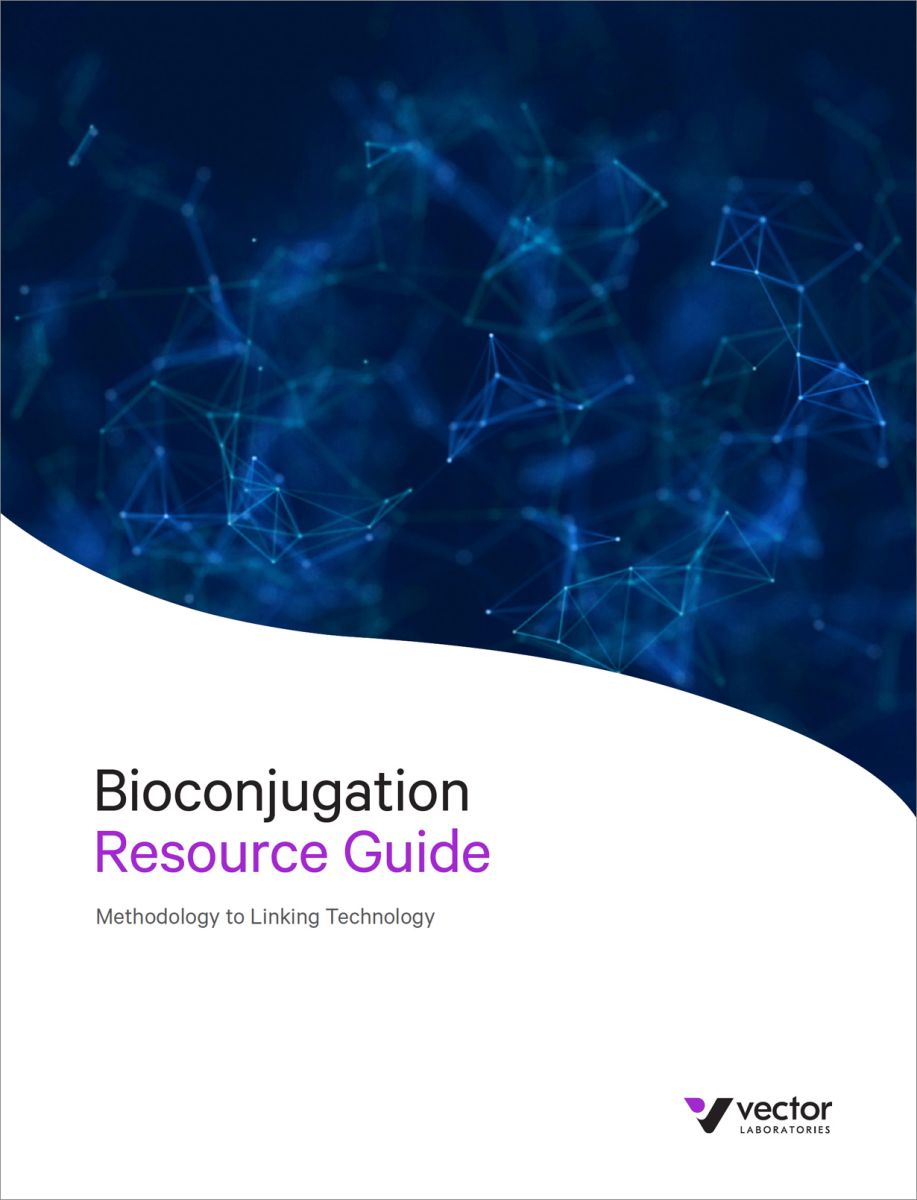 Bioconjugation Resource Guide
