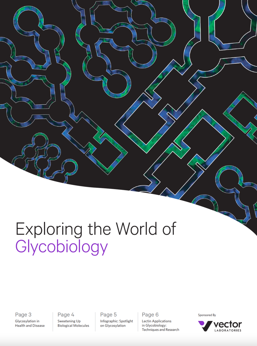 Exploring the World of Glycobiology
