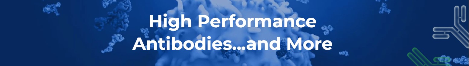 High Performance Antibodies and more