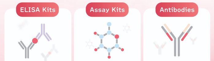ELISA Kits - Assay Kits - Antibodies