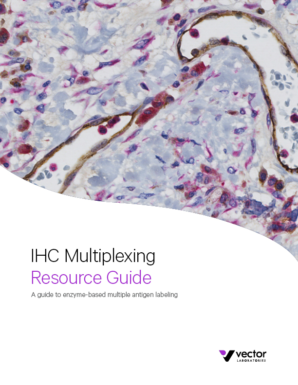 IHC Multiplexing