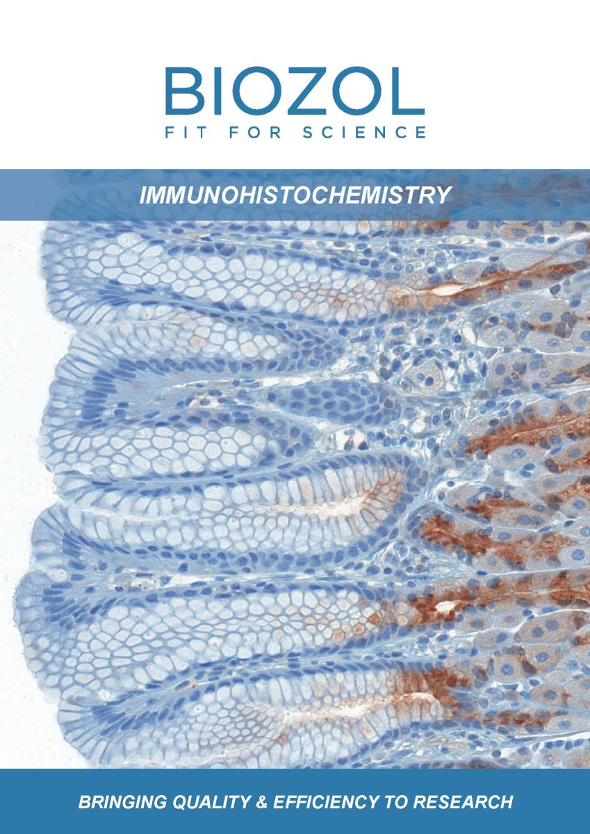 BIOZOL Brochure Immunohistochemistry