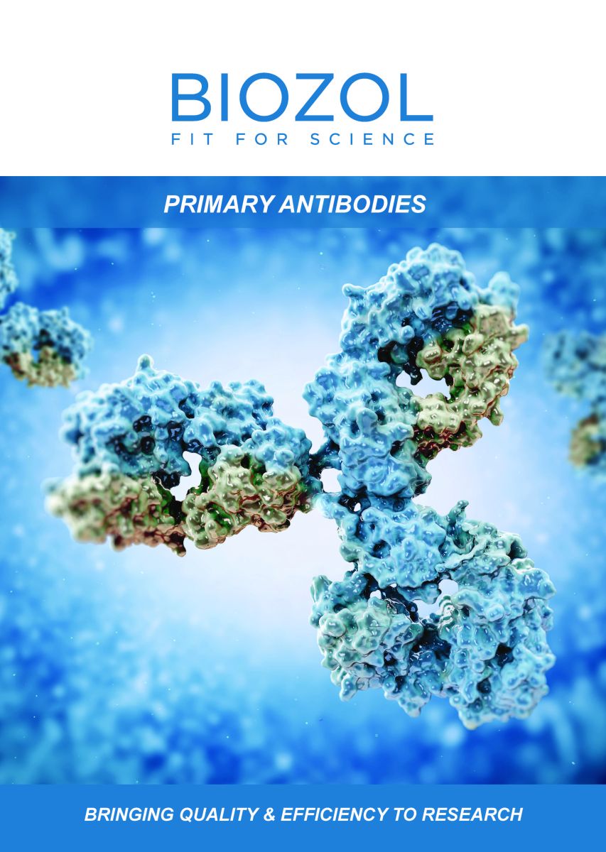 BIOZOL Brochure Primary Antibodies