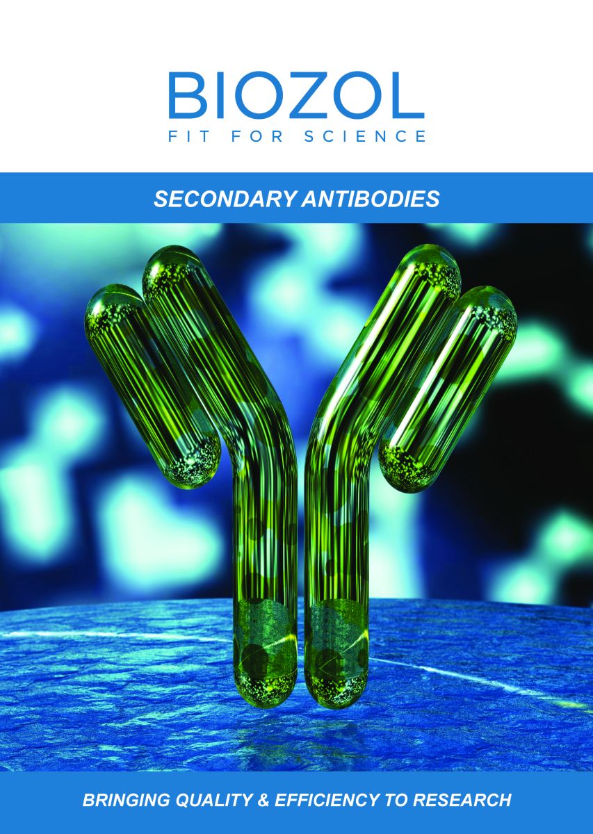 BIOZOL Brochure Secondary Antibodies